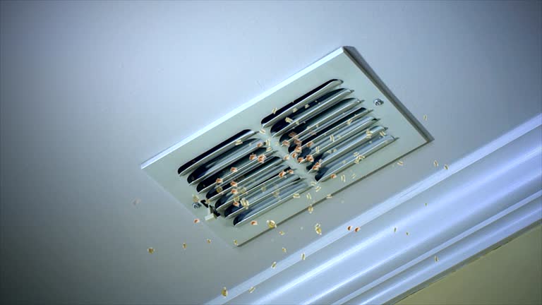 Best Affordable Air Duct Cleaning  in Pelzer, SC