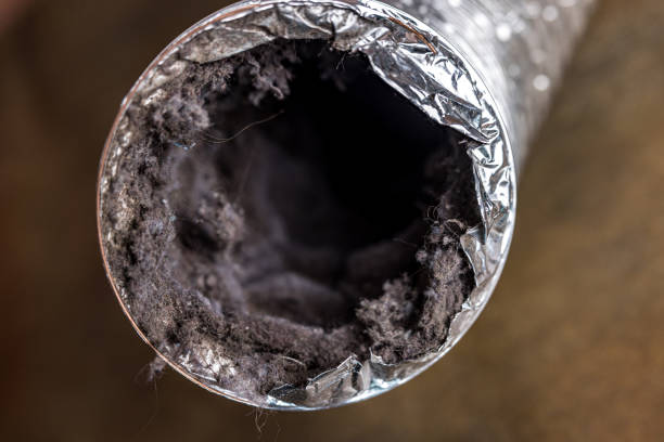 Best Best Air Duct Cleaning Company  in Pelzer, SC