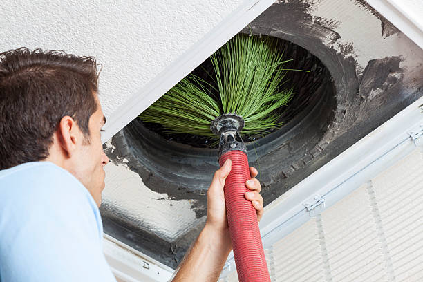 Best Affordable Duct Cleaning Services  in Pelzer, SC